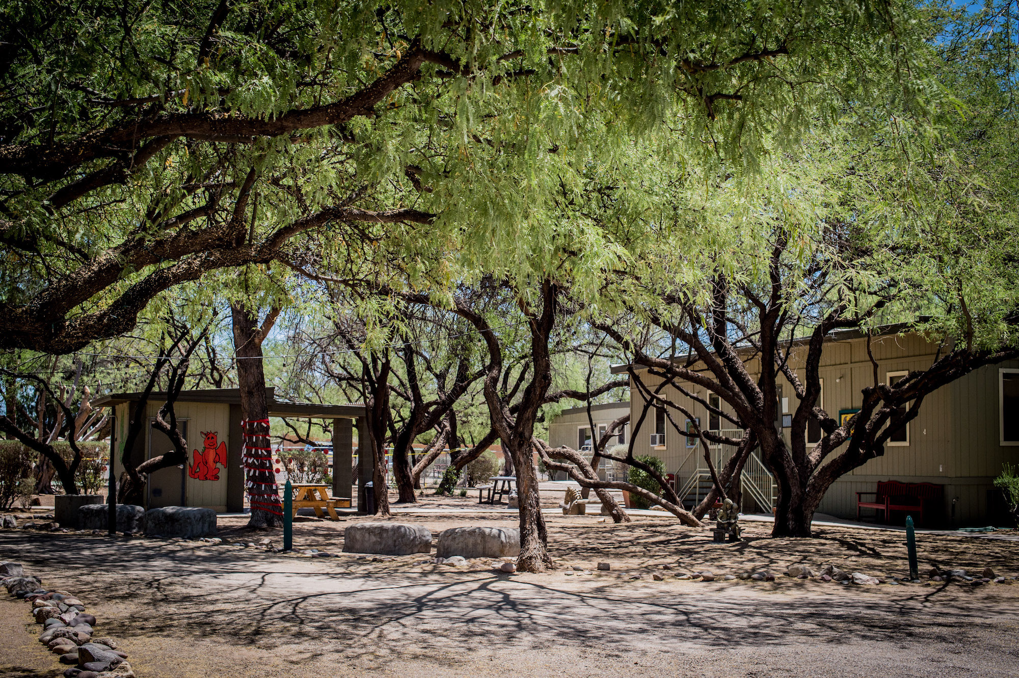 Castlehill Country Day School founded in 1986, sits on 8 mature acres near Craycroft and River Road in Tucson, Arizona.